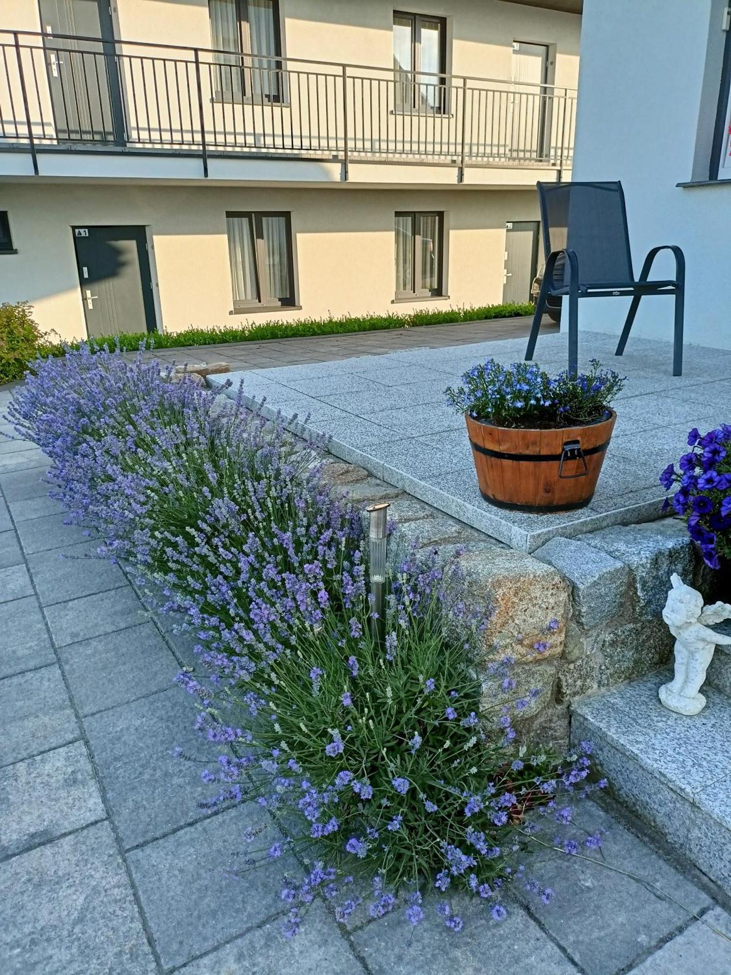 Apartamenty Jasienczyk Mielenko Exterior foto